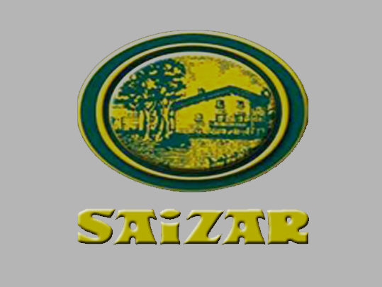 Saizar